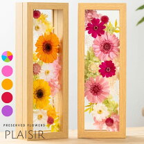 楽天市場】立体額（プリザーブドフラワー｜花・観葉植物）：花 