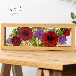 vU[uht[ t[ MtgyvYB[zhV̓ a ސEj. j LO JXj LO Əj 蕨 Mtg  v[g bZ[WJ[h