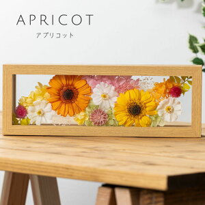 vU[uht[ t[ MtgyvYB[zhV̓ a ސEj. j LO JXj LO Əj 蕨 Mtg  v[g bZ[WJ[h