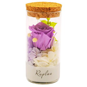 �v���U�[�u�h�t�����[ �K���X �~�j �y�V�F���z �M�t�g �F���� �a�����v���[���g �o�� ��e �� �� �c�� ���� 20�� 30�� 50�� 70�� �����j�� �ސE�j�� ���N�j�� �L�O�� �җ�j�� �Ê� ���� ���j�� 