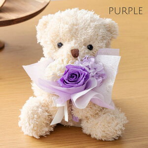 vU[uht[ ʂ ԑ yciel VG --z  ~   49 @   ԃvU[uht[ vU[uh t[ uU[ht- AW