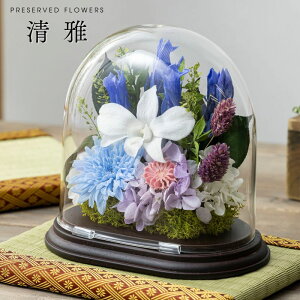 vU[uht[  KXh[ ~j dp    t[ AWg yz  l\ 49 @ @v 1      ~