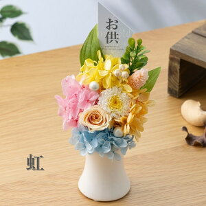 vU[uht[  dp yiz  ~   49 @   ԃvU[uht[ vU[uh t[   uU[ht- AW