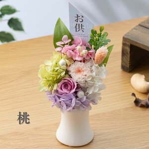 vU[uht[  dp yiz  ~   49 @   ԃvU[uht[ vU[uh t[   uU[ht- AW