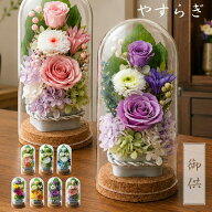 お供え 花 プリザーブドフラワー 仏花 ガラスドーム 【やすらぎ】 菊 供花 仏壇用 祭壇 一周忌 三回忌 七…