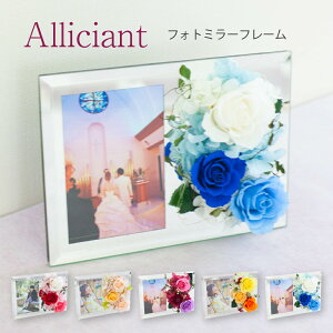 vU[uht[ ʐ^ yAVAz L Mtg j ʐ^T[rX j tHgt[ 蕨 FB Fl  j oYj a j ސEj Əj 