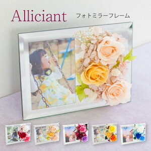 vU[uht[ ʐ^ yAVAz L Mtg j ʐ^T[rX j tHgt[ 蕨 FB Fl  j oYj a j ސEj Əj 