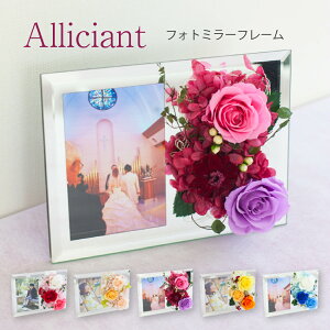 vU[uht[ ʐ^ yAVAz L Mtg j ʐ^T[rX j tHgt[ 蕨 FB Fl  j oYj a j ސEj Əj 