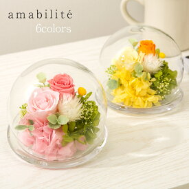 プリザーブドフラワー 誕生日 プレゼント【amabilite アマビリテ】ガラスドーム 母の日 プレゼント 誕生日 花 プレゼント 退職祝い 結婚祝い 結婚記念日 開店祝い 記念日 卒業祝い 贈り物 ギフト【誕生日 花 お祝い 人気】【無料ラッピング 無料メッセージカード】