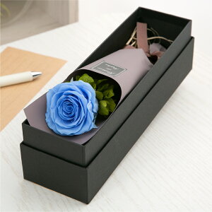 vU[uht[ ԑ o J[l[V  Mtg yAJWz F av[g ސEj     a ޏ LO j ʉ  s