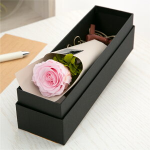 vU[uht[ ԑ o J[l[V  Mtg yAJWz F av[g ސEj     a ޏ LO j ʉ  s