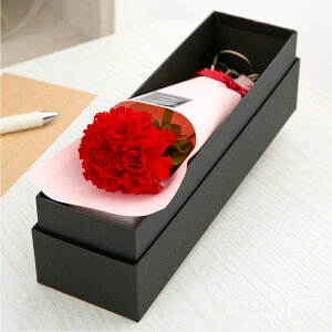 vU[uht[ ԑ o J[l[V  Mtg yAJWz F av[g ސEj     a ޏ LO j ʉ  s