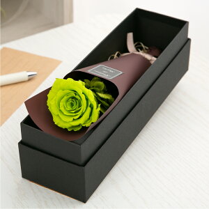 vU[uht[ ԑ o J[l[V  Mtg yAJWz F av[g ސEj     a ޏ LO j ʉ  s