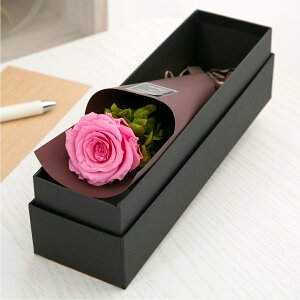 vU[uht[ ԑ o J[l[V  Mtg yAJWz F av[g ސEj     a ޏ LO j ʉ  s