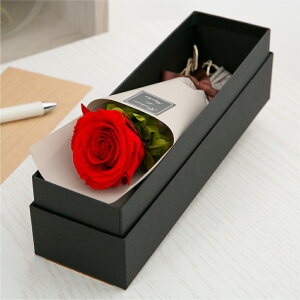 vU[uht[ ԑ o J[l[V  Mtg yAJWz F av[g ސEj     a ޏ LO j ʉ  s