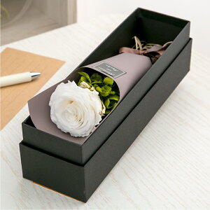 vU[uht[ ԑ o J[l[V  Mtg yAJWz F av[g ސEj     a ޏ LO j ʉ  s