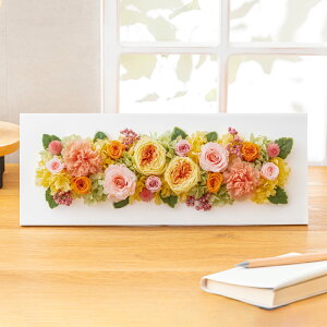 vU[uht[ JXj Mtg Ǌ| t[ yV}z NAP[X IV AW NLO JƏj LO a j ʉ ސEj җj Ê 