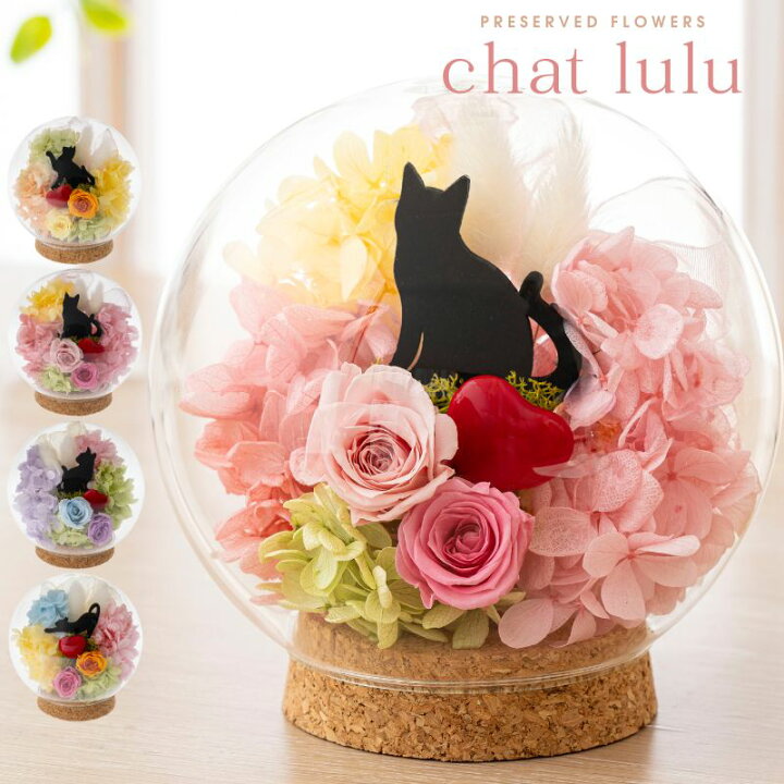楽天市場】猫 プリザーブドフラワー ギフト ガラスドーム 【シャルル 
