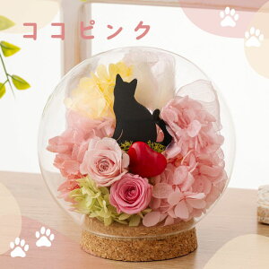 vU[uht[ L G yVz o[Xf[ av[g ˂ uU[ht[ uU[ht- ybg    v[g Mtg a v`  