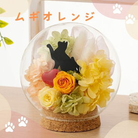 猫 プリザーブドフラワー ギフト ガラスドーム 【シャルル】 かわいい 誕生日プレゼント 母親 女友達 誕生日 お祝い 女性 カフェ 開店 出産 退職 送別会 卒業 卒団 記念品 ペット お供え 喜寿 還暦 傘寿 フラワーアレンジメント 雑貨 母の日 花