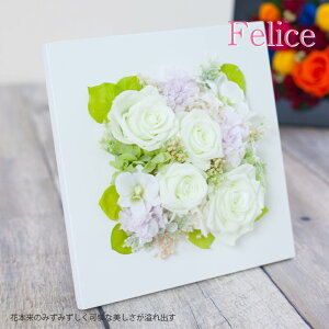 vU[uht[ JXj Mtg Ǌ| t[ ytF[`Fz IV AW NLOi j LO N a j ʉ ސEj җj  Ê Ď