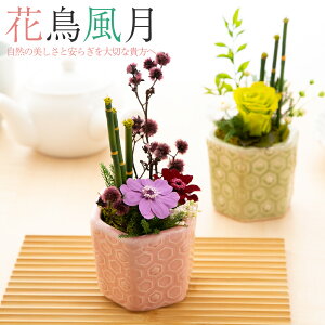 vU[uht[ Mtg yԒz a JXj IV av[g e c   50 70 80 j LO ʉ ސEj җj  Ê Ď  