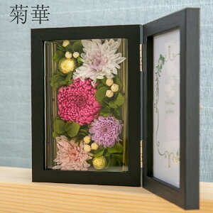 vU[uht[ Mtg a ʐ^ L ye؁z ؐ  킢 җj  Ê Ď   j Ԃ tHgt[ j a j JXj 