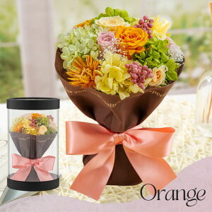 vU[uht[ ԑ ̂܂  X^hu[P Mtg yEtFbgz NAP[X ސEj    a ޏ j LO j ʉ  