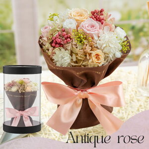 vU[uht[ ԑ ̂܂  X^hu[P Mtg yEtFbgz NAP[X ސEj    a ޏ j LO j ʉ  