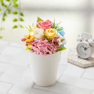 �v���U�[�u�h�t�����[ �M�t�g �y�������z �F���� �a�����v���[���g ��e �� �� �c�� ���� 20�� 30�� 50�� 70�� �җ�j�� �Ď� �Ê� ��� �����j�� �ސE�j�� �����L�O�� ���N�j�� �L�O�� ���j�� 