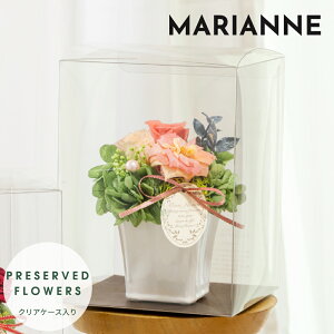 vU[uht[ Mtg y}Akz NAP[X F av[g e ޏ   c  30 җ Ê j ސEj LO Nj LO j 