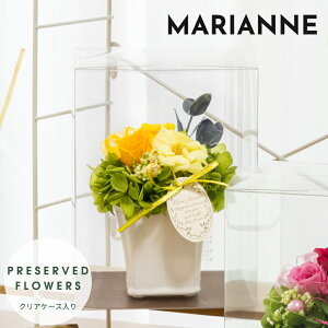 vU[uht[ Mtg y}Akz NAP[X F av[g e ޏ   c  30 җ Ê j ސEj LO Nj LO j 