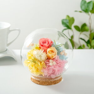 �v���U�[�u�h�t�����[ �K���X�h�[�� �M�t�g �y�}���[�g���@�z �F���� �a�����v���[���g ��e �ޏ� �� �� �c�� �E�� ���� 20�� 30�� 50�� 70�� �җ�j�� �����j�� �ސE�j�� �J�X�j�� ���j�� �A��