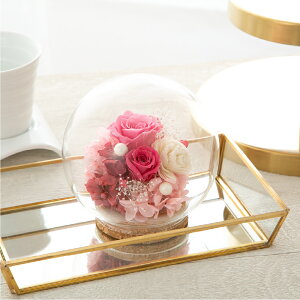 vU[uht[ KXh[ Mtg y}[g@z F av[g e ޏ   c E  20 30 50 70 җj j ސEj JXj j A