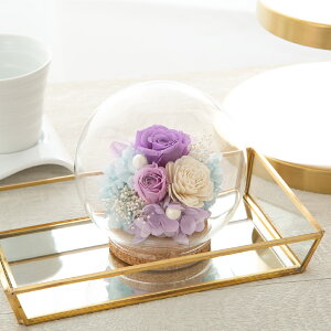 vU[uht[ KXh[ Mtg y}[g@z F av[g e ޏ   c E  20 30 50 70 җj j ސEj JXj j A