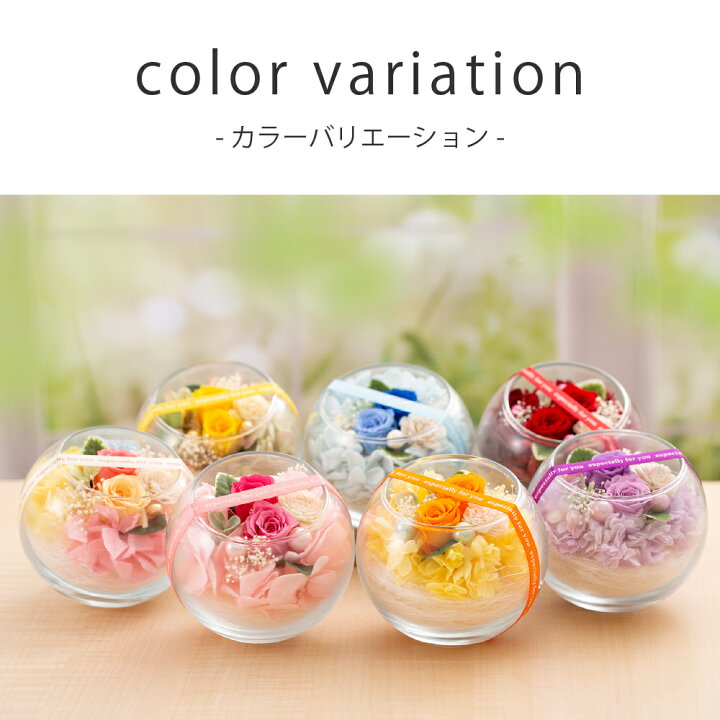 楽天市場 プリザーブドフラワー 誕生日 プレゼント 花 おしゃれ アレンジメント ガラス プチヴェールローズ クリスマス 還暦 古希 結婚祝い 退院 快気祝い 卒業祝い 退職祝い 内祝い 記念日 周年 ギフト 贈り物 女性 女友達 母 妻 ブリザードフラワー ブリザーブド