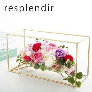 vU[uht[ Mtg o t[ IV AW yXvfB[z JXj e   c E  50 70 NLOi Vzj JƏj j LO a