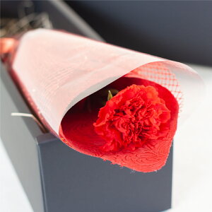 vU[uht[ ԑ o J[l[V   yANgz v|[Y   u[P Ǝ a j  LO ސEj ʉ LO җ Ê 