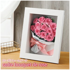 vU[uht[ v|[Y ԑ o 12{ y[Yt[u[Pz t[ ̂܂  u[P AW   JXj N JƏj a j EFfB