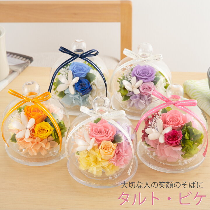 楽天市場 プリザーブドフラワー ガラスドーム バラ 花 おしゃれ アレンジメント タルト ビケ クリスマス 誕生日 結婚祝い 電報 結婚式 退職祝い 送別会 快気祝い 内祝い 記念日 周年 ギフト プレゼント 贈り物 女性 女友達 母 妻 ブリザードフラワー ブリザーブド
