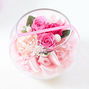 �v���U�[�u�h�t�����[ �M�t�g �y���F���b�g���[�Y�z �F���� �a�����v���[���g ��e ���F�B �ޏ� �� �� �c�� ���� �җ�j�� �Ď� �Ê� ��� �����j�� �ސE�j�� �J�X�j�� ���j�� �K���X �A����