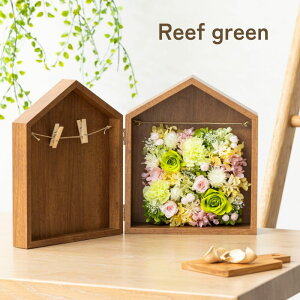 vU[uht[ ʐ^ j ycolore Nz tHgt[ LO Əj ސEj ̓ NX}X vU[ht[ ʐ^vgT[rX v[g Mtg 