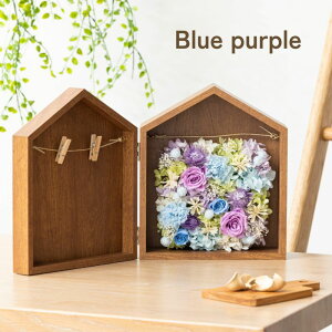 vU[uht[ ʐ^ j ycolore Nz tHgt[ LO Əj ސEj ̓ NX}X vU[ht[ ʐ^vgT[rX v[g Mtg 