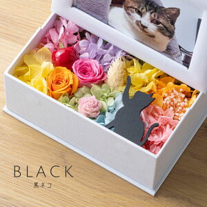 vU[uht[ ʐ^ L wmignon ~jx tHgt[ CeAG a v[g ybg   Əj ސEj ̓ NX}X vU[ht[ 