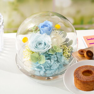 vU[uht[ XC[c Mtg KXh[ ~j yA}re XC[cZbgz F av[g o e   c  20 30 j ސEj җj Ê 