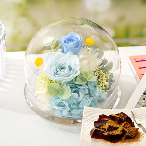 vU[uht[ XC[c Mtg KXh[ ~j yA}re XC[cZbgz F av[g o e   c  20 30 j ސEj җj Ê 