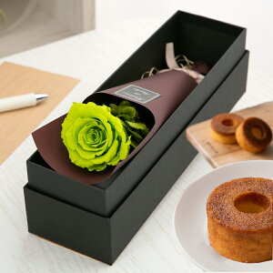 vU[uht[ XC[c Mtg o J[l[V  yAJW XC[cZbgz F a ސEj    a ޏ LO j ʉ 