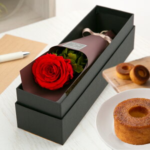 vU[uht[ XC[c Mtg o J[l[V  yAJW XC[cZbgz F a ސEj    a ޏ LO j ʉ 