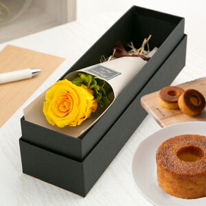 vU[uht[ XC[c Mtg o J[l[V  yAJW XC[cZbgz F a ސEj    a ޏ LO j ʉ 