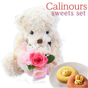 vU[uht[ XC[c Mtg yJkDX XC[cZbgz ʂ 킢   efBxA u[P  a F e  20 ޏ   j ސE 